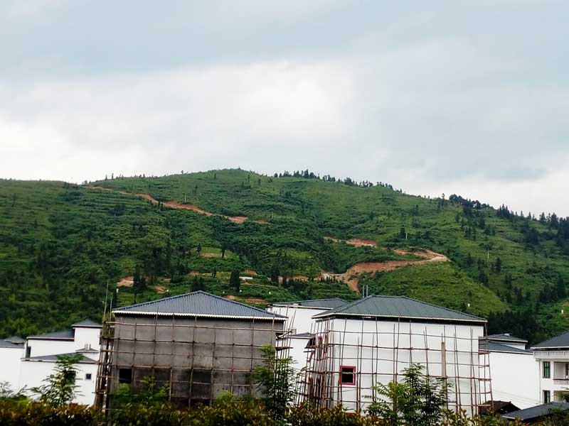 6米樹脂瓦價格表